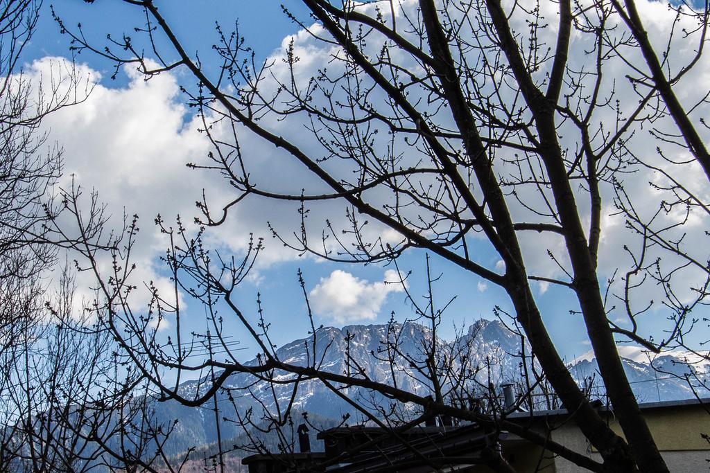 Apartament Owcze Runo Zakopane Dış mekan fotoğraf
