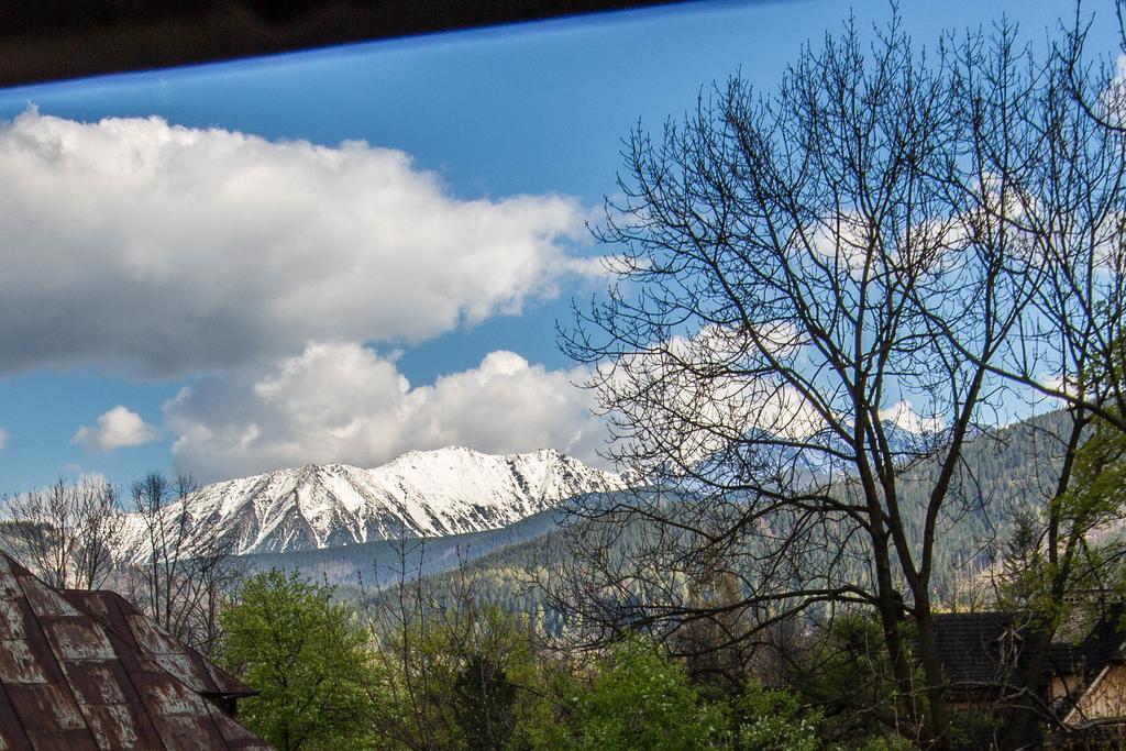 Apartament Owcze Runo Zakopane Dış mekan fotoğraf